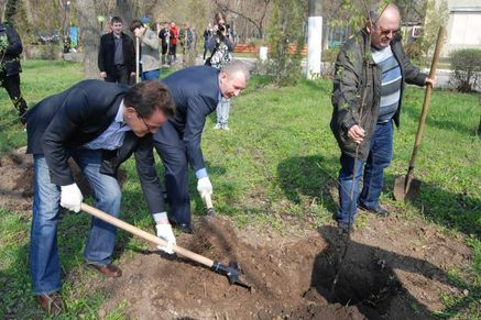  В Ростовской области «День древонасаждений» поддержали 74 тысячи человек  - фото 3