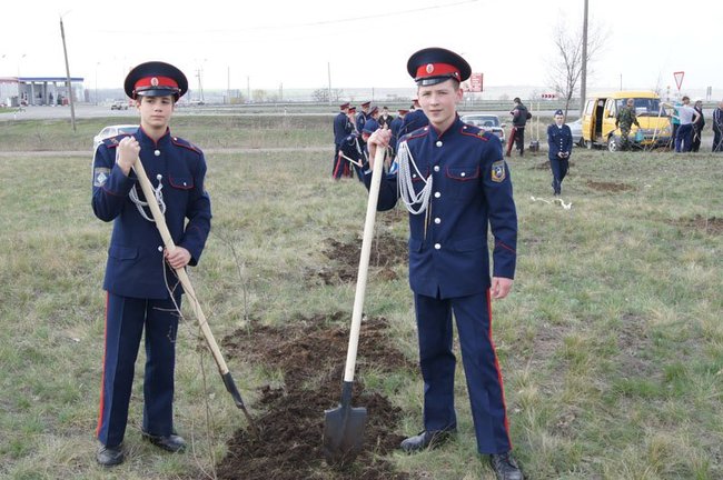  В Ростовской области «День древонасаждений» поддержали 74 тысячи человек  - фото 4