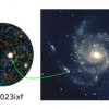 Телескоп ART-XС им. М. Н. Павлинского наблюдает за сверхновой в галактике Вертушка