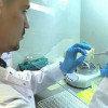 Молодые ученые Донского ГАУ выиграли грант РНФ на исследование генома свиней