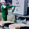 Новый цех по производству топливных брикетов запустили в Вологодской области