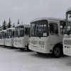 Нижегородским муниципалитетам передали 179 новых автобусов