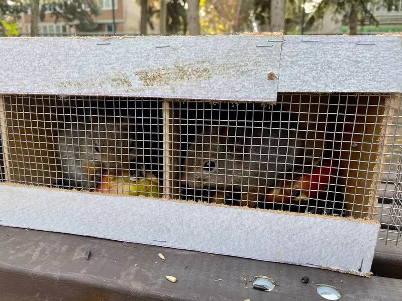 Картинка №5 для «В Кореновске Краснодарского края открылся парк 75 летия Победы»