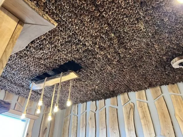 Фото 2 для поста «Ленинградская область: В четверг 6 апреля в Ленинградской области открылась баня»