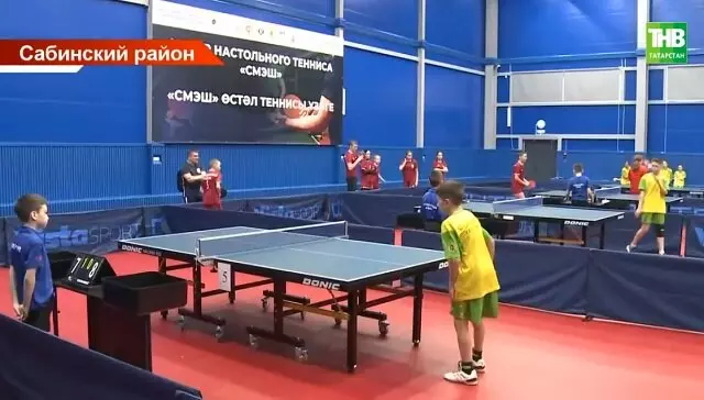 Картинка №2 для «спортивные объекты: В Татарстане открыты пять центров настольного тенниса»