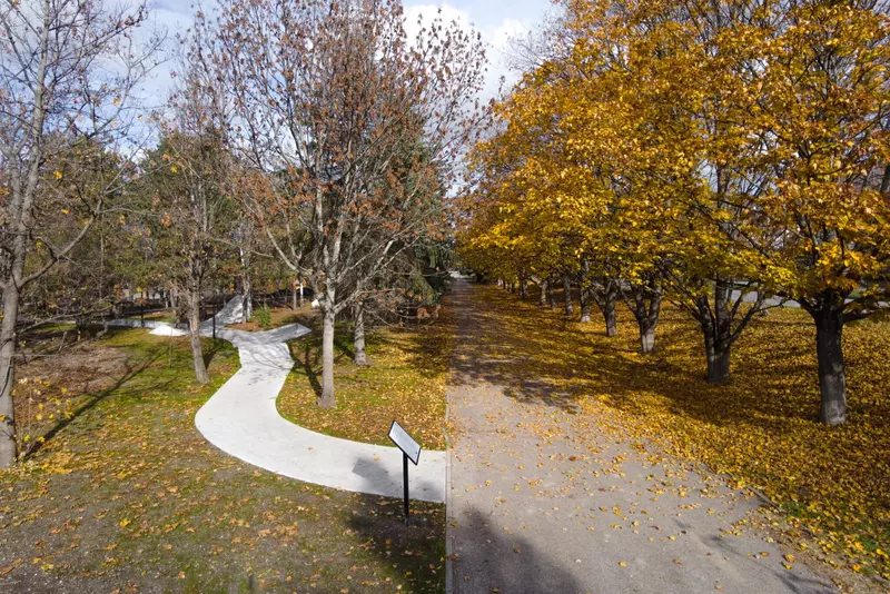 Фото #21 для публикации «Новый экспериментальный сквер в Предкавказье»