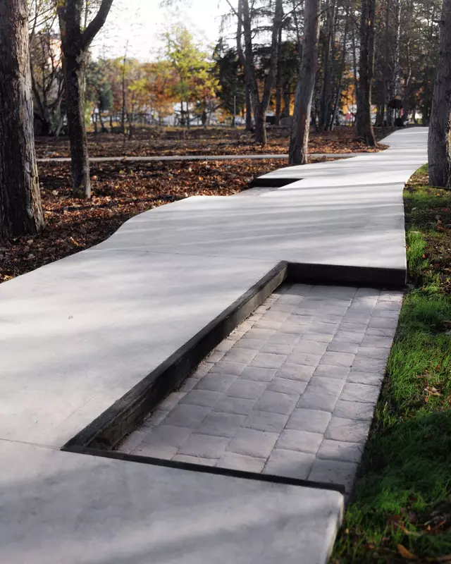 Иллюстрация №27 для «Новый экспериментальный сквер в Предкавказье»