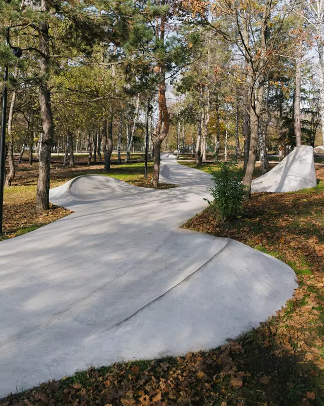 Иллюстрация 15 для статьи «Новый экспериментальный сквер в Предкавказье»