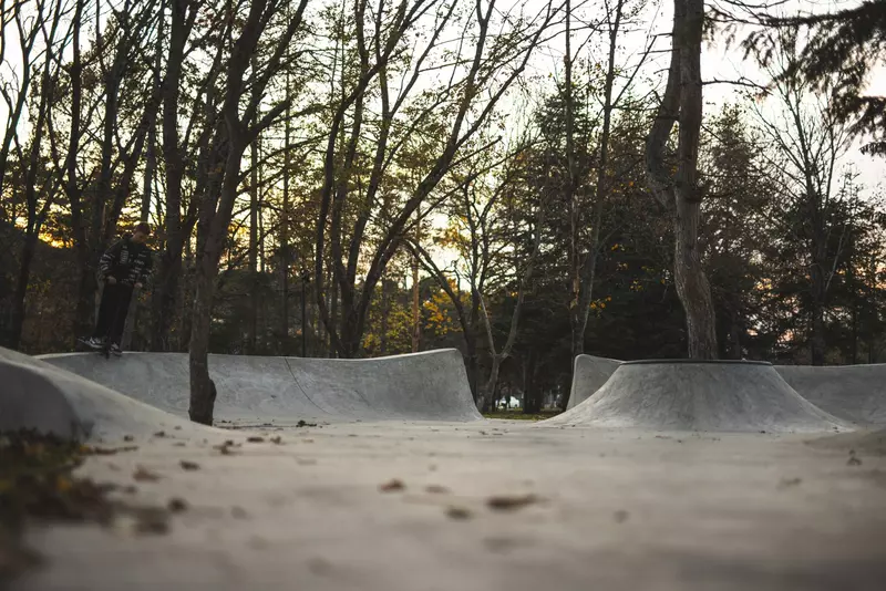 #31 для статьи «Новый экспериментальный сквер в Предкавказье»