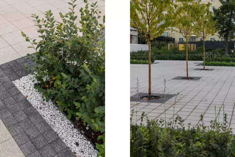 Изображение #18 для «После реконструкции открылась рязанская ВДНХ»