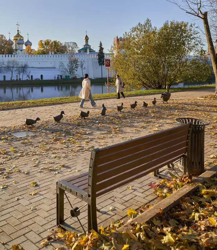 Картинка 65 для новости «Новости благоустройства и архитектурного дизайна в России»