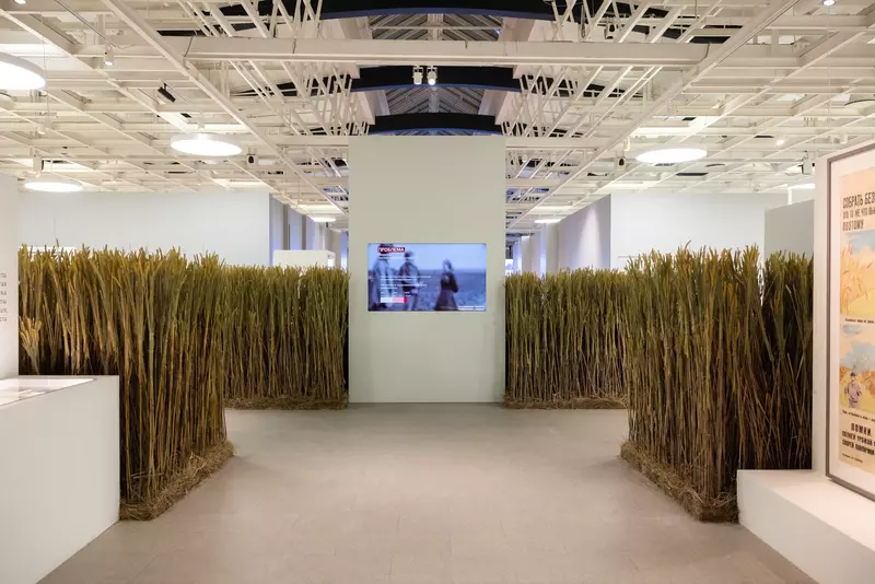 №47 для статьи «Новые объекты культуры»