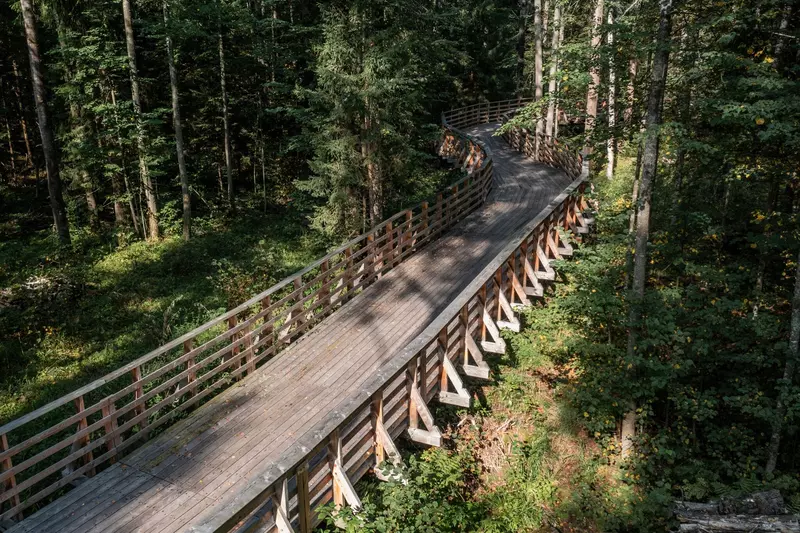 Иллюстрация 8 для статьи «Открылась велосипедная трасса длинной 56 километров проложенная между городами Дубна и Яхрома»