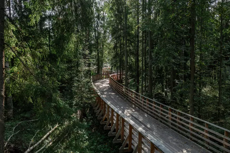 #5 для «Открылась велосипедная трасса длинной 56 километров проложенная между городами Дубна и Яхрома»