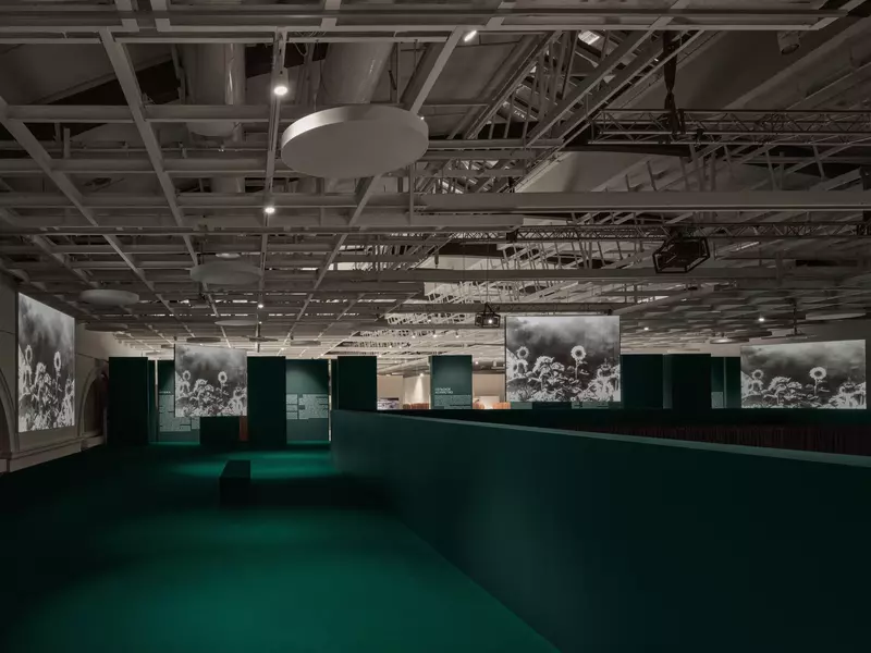 Фото 25 для публикации «Новые объекты культуры»