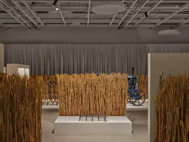 Фото #38 для публикации «Новые объекты культуры»