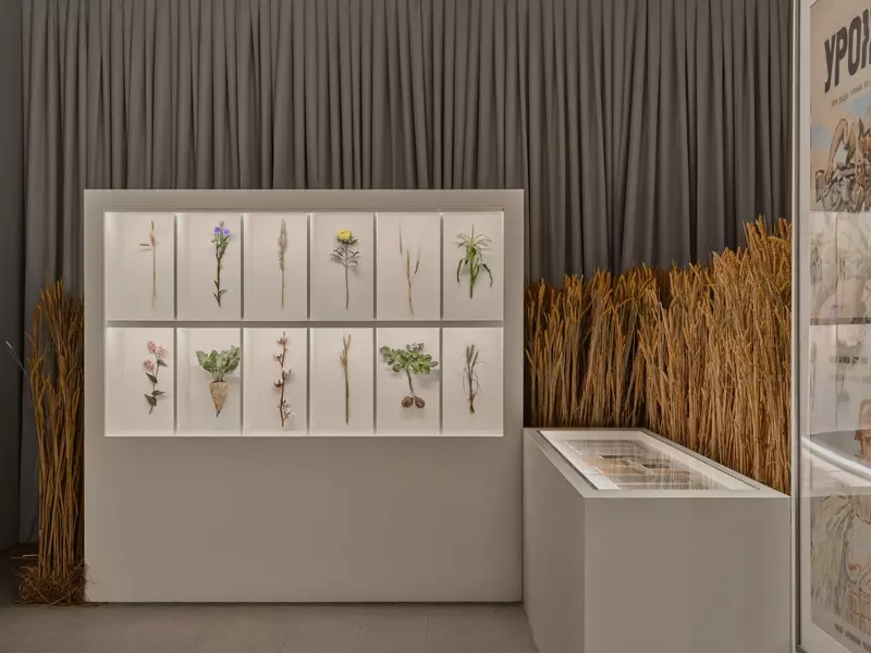 №37 для статьи «Новые объекты культуры»