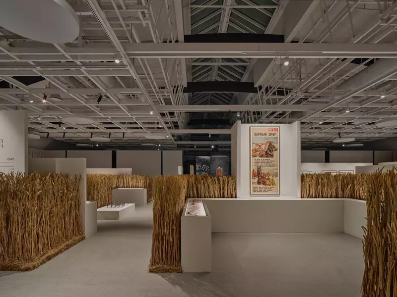 Фото #39 для новости «Новые объекты культуры»