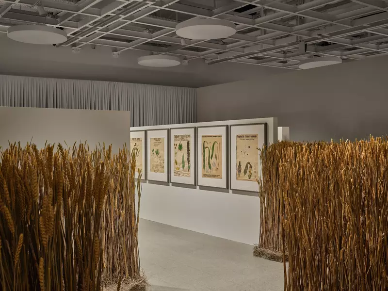 Картинка №48 для статьи «Новые объекты культуры»