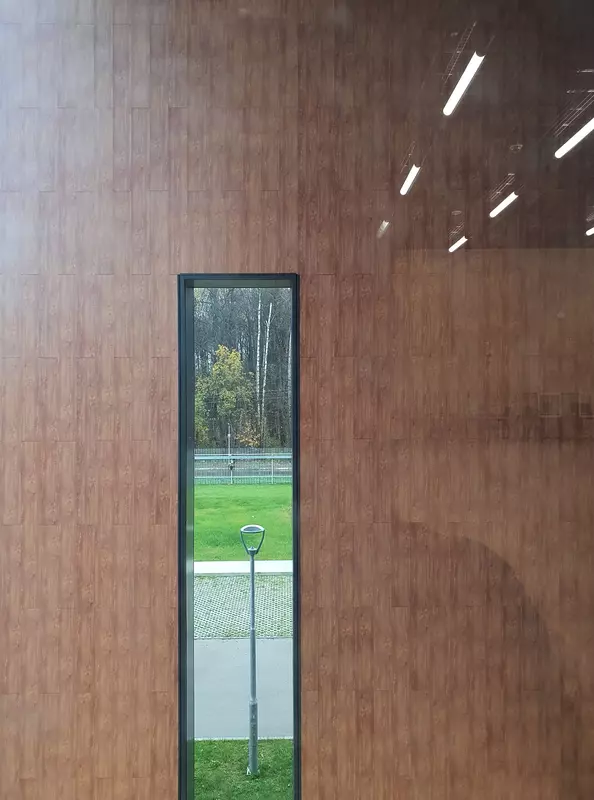 Фото 23 для статьи «»