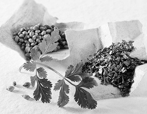 Неожиданно Россия вышла в мировые лидеры по экспорту кориандра