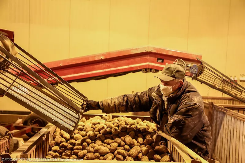 Фото 3 для новости «Московская область: В Подмосковье введены в эксплуатацию новые овощехранилища на 23 тыс»