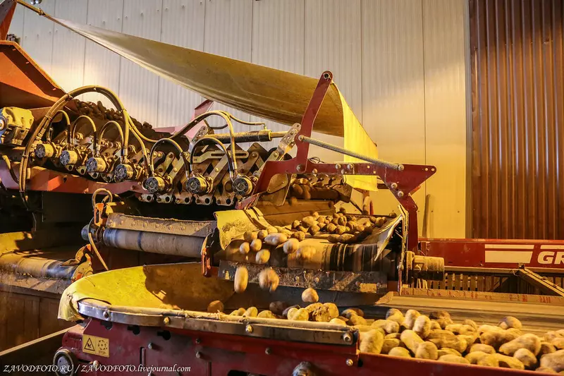 Фото №2 для новости «овощеводство: В Подмосковье введены в эксплуатацию новые овощехранилища на 23 тыс»