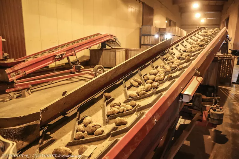 В Подмосковье введены в эксплуатацию новые овощехранилища на 23 тыс