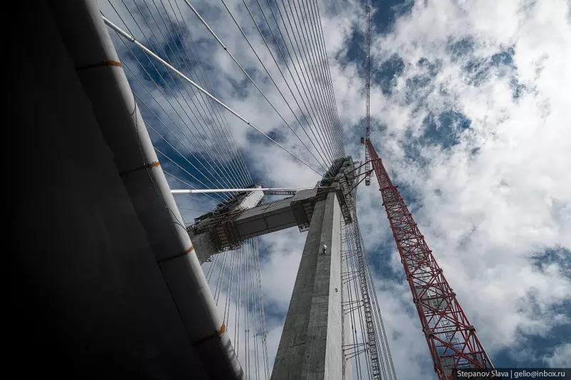 №24 для новости «Ход строительства моста в Новосибирске»