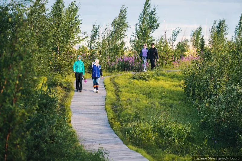 Иллюстрация #58 для поста «Летний Норильск с высоты»