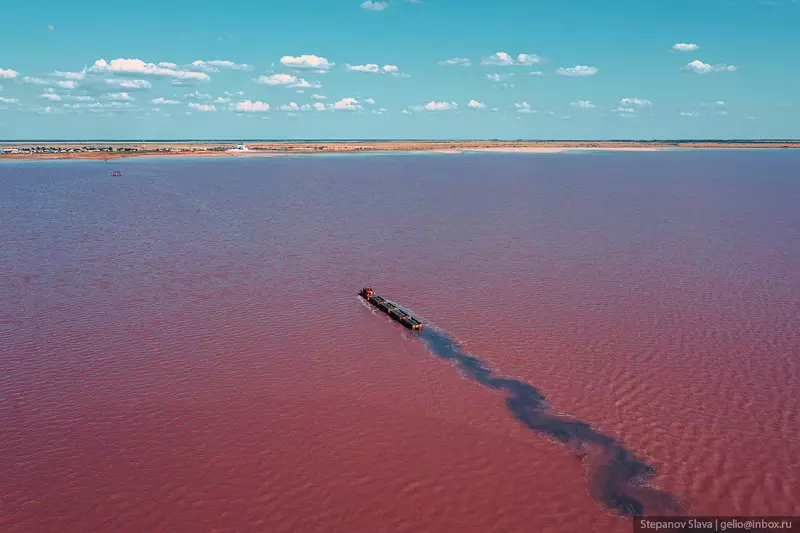 #11 для новости «Бурсоль как добывают соль в розовом озере Алтайского края»