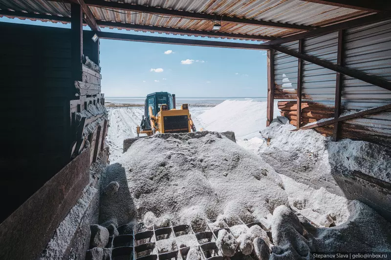 Изображение #16 для публикации «Бурсоль как добывают соль в розовом озере Алтайского края»