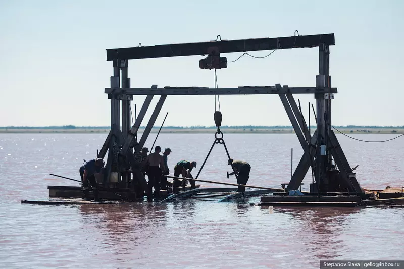 Изображение 21 для новости «Бурсоль как добывают соль в розовом озере Алтайского края»