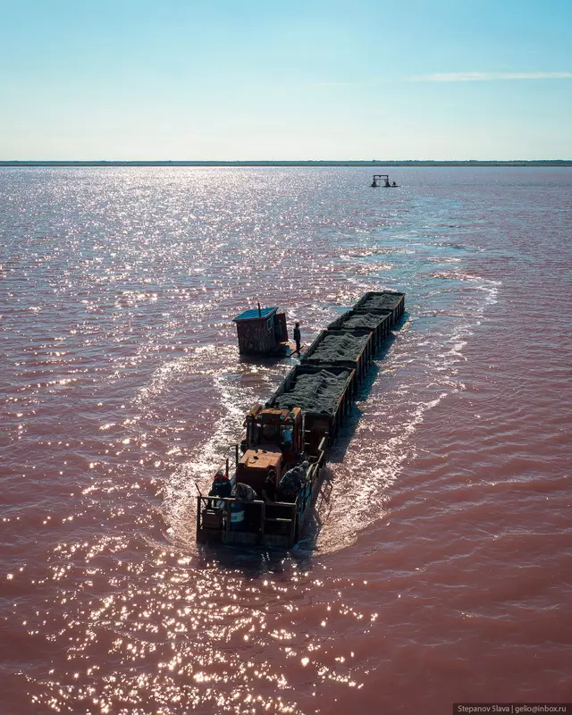 Фото #25 для новости «Бурсоль как добывают соль в розовом озере Алтайского края»