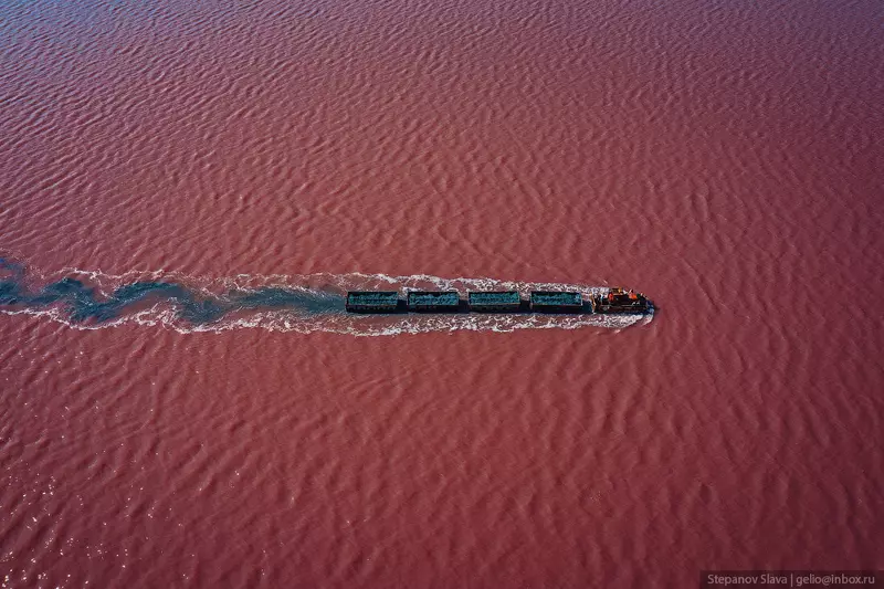 3 для публикации «алтай: Бурсоль как добывают соль в розовом озере Алтайского края»