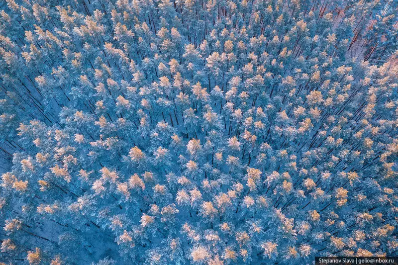 №31 для поста «Белокуриха город курорт в предгорьях Алтая»