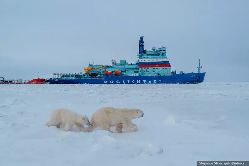 Иллюстрация №76 для «Атомные ледоколы на северном морском пути»