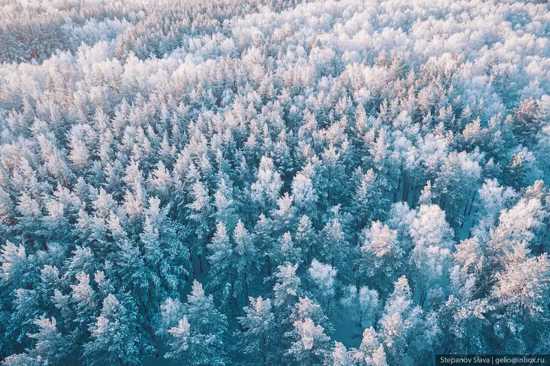 Фото #61 для поста «Зимний Красноярск самый восточный миллионник России»