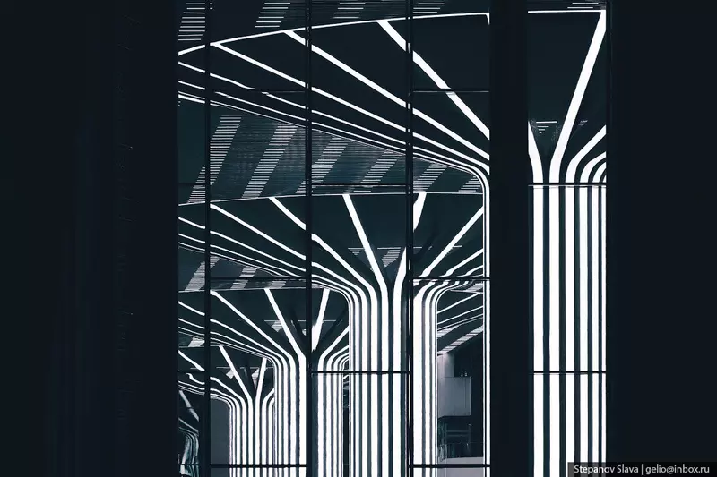 №21 для «Аэропорт Толмачёво в Новосибирске»