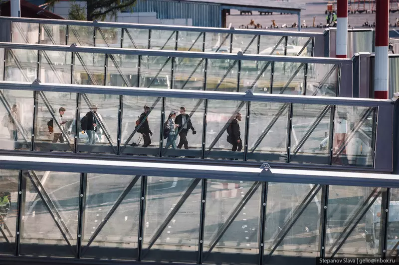 Фото #31 для новости «Аэропорт Толмачёво в Новосибирске»