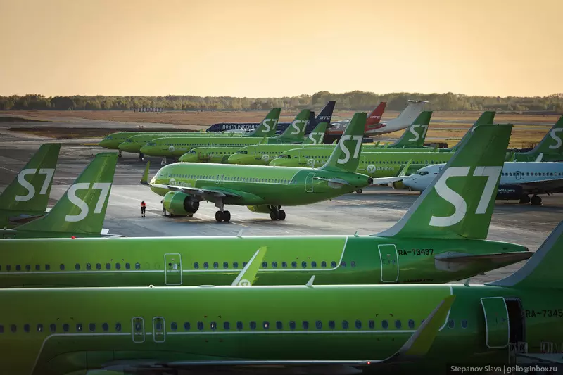 Изображение 51 для «Аэропорт Толмачёво в Новосибирске»