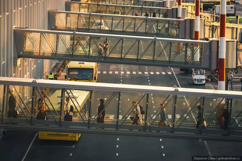 54 для новости «Аэропорт Толмачёво в Новосибирске»