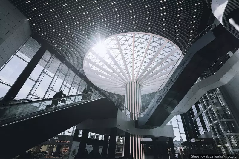 Иллюстрация #61 для «Аэропорт Толмачёво в Новосибирске»