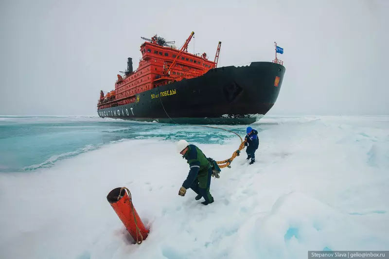 Картинка №16 для поста «Атомный ледокол 50 лет Победы покоритель Северного полюса»