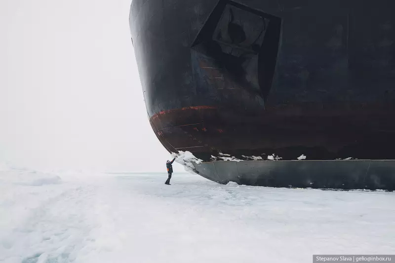 19 для статьи «Атомный ледокол 50 лет Победы покоритель Северного полюса»