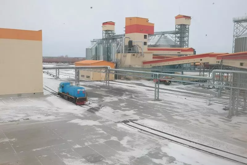 В Челябинской области запустили комплекс по переработке зерна гречихи