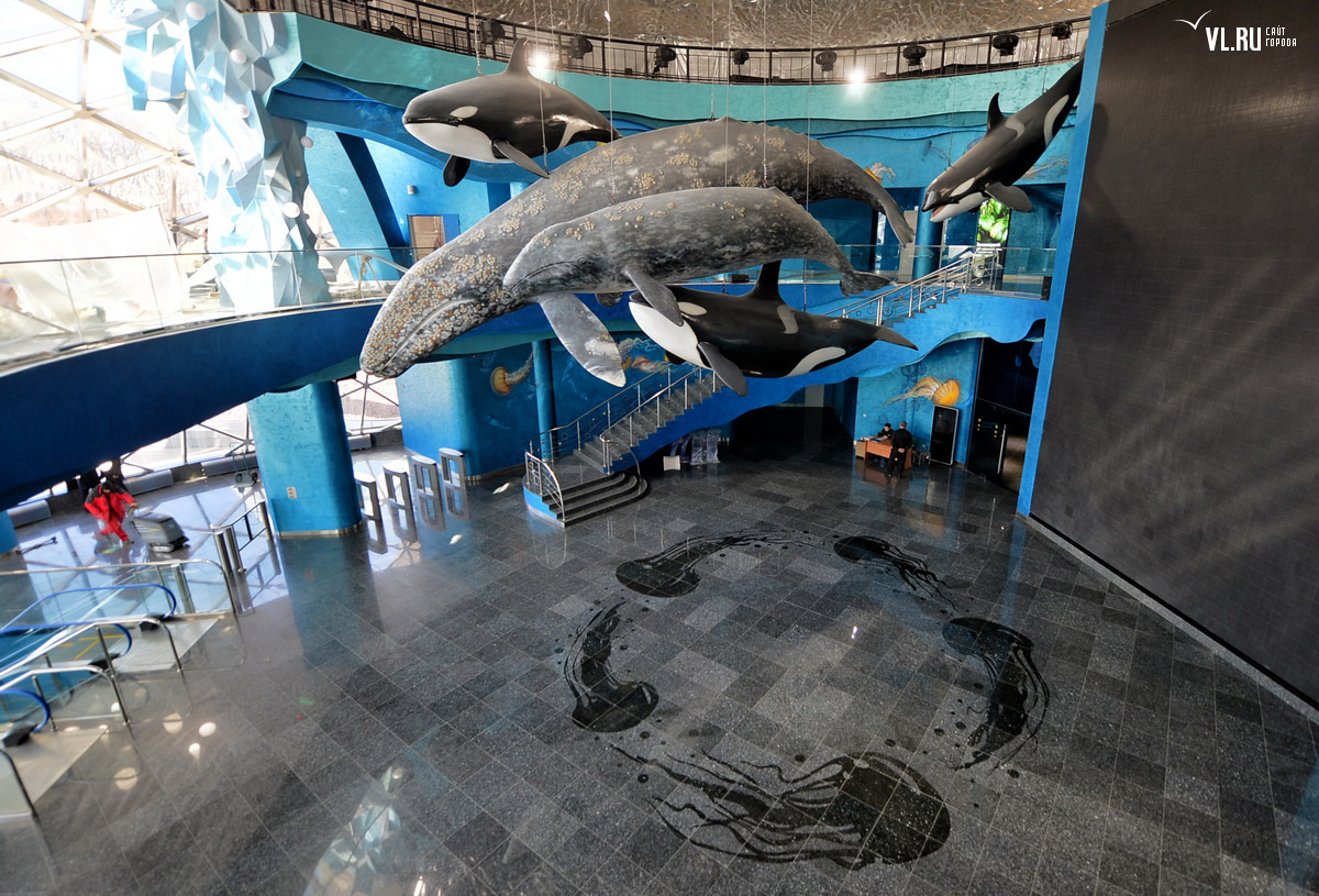 Океанариум Владивосток Остров Русский Купить Билеты