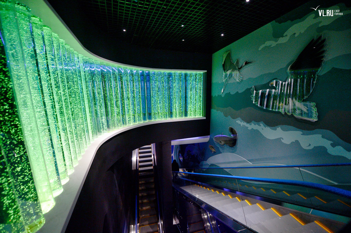 Океанариум Владивосток Остров Русский Купить Билеты