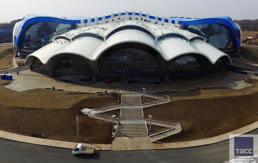 Владивосток океанариум остров русский фото