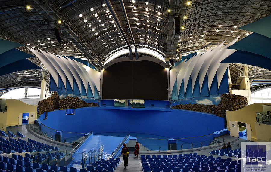 Океанариум Владивосток Остров Русский Купить Билеты